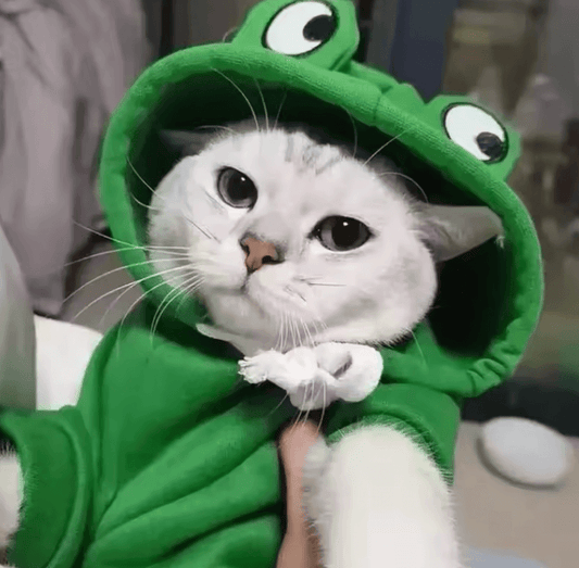 Autumn Winter Cat & Dog Hoodies - Cute Frog-Shaped Fleece for Small Pets