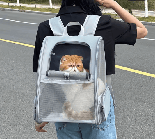 Cat Backpack Harness & Carrier - Airline Approved, Foldable Travel Bag for Cats & Puppies