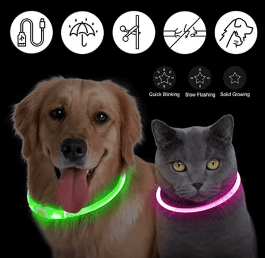 LED Luminous Dog Collar - USB Charging Glowing Safety Necklace for Cats & Dogs