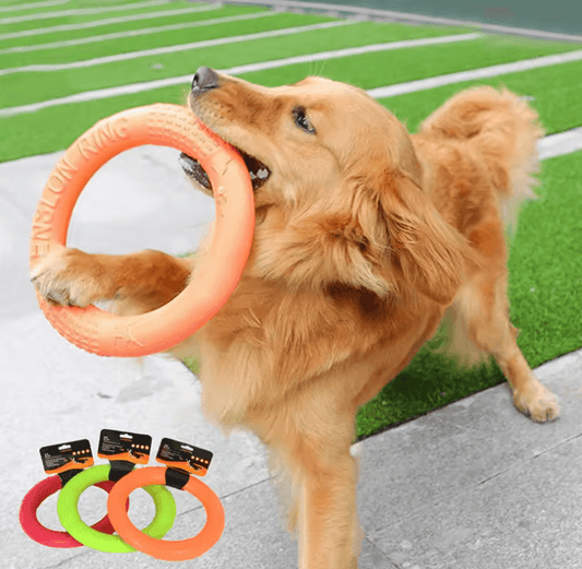 Durable Orange Dog Training Ring – EVA Flying Disk & Puller Toy
