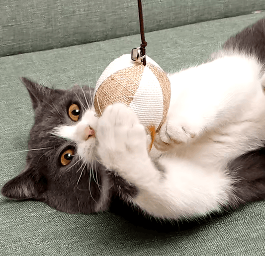 Colorful Feather Teaser Wand – Interactive Cat Toy for Endless Fun