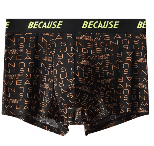 Men’s Boxer Shorts Underwear – Sexy Cotton Briefs, Male Underpants & Panties, Comfortable Men’s Undrewear Trunks