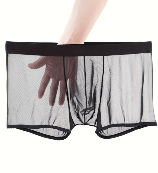 Men’s Sheer Ice Silk Boxer Briefs – Transparent Underwear with Bulge Pouch, Low-Rise Sexy Lingerie Panties, See-Through Breathable Bikini Shorts
