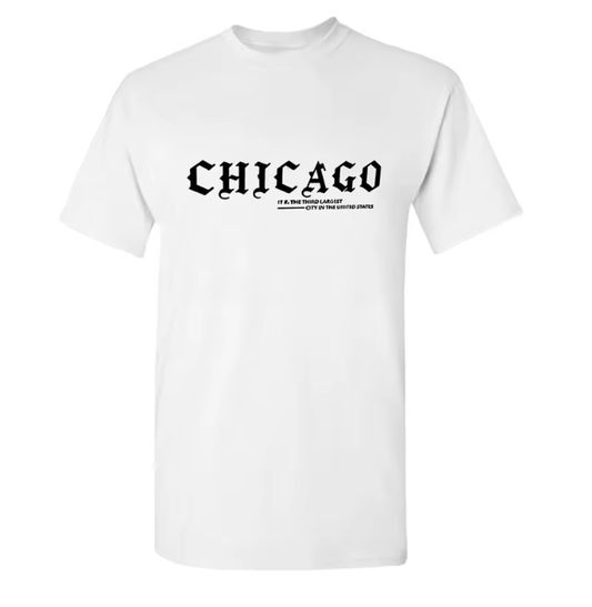 Men’s Gym Essential Breathable Tech Fabric Workout Top – Quick Dry Polyester Outdoor Adventure Tee with Stylish Font