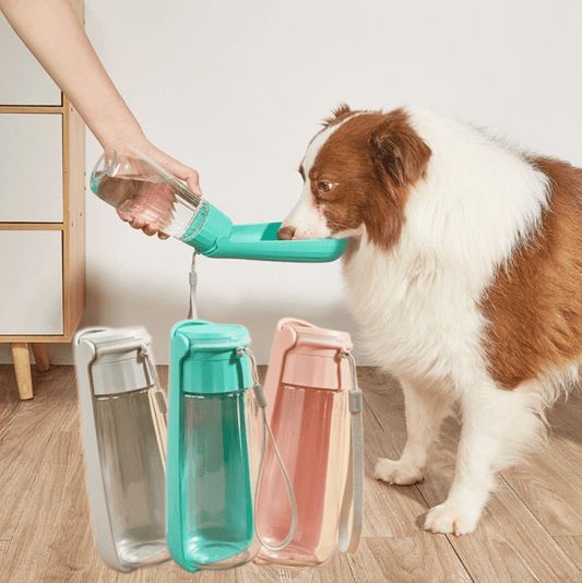 Portable Folding Dog Water Bottle | 550ml Large Capacity for Outdoor Adventures