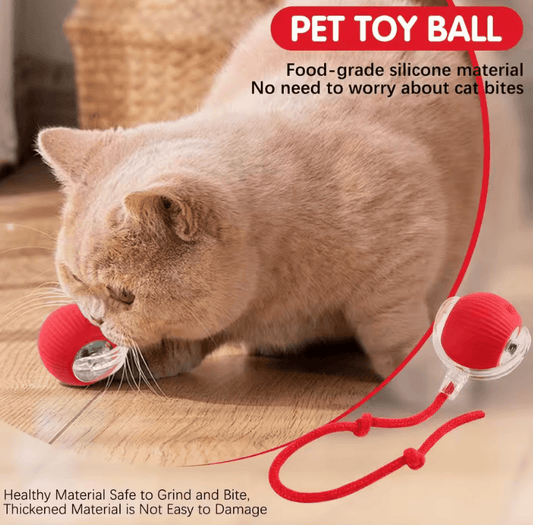 Interactive Cat Ball Toy | 3-Mode Automatic Rolling with Faux Tail & Rechargeable Design