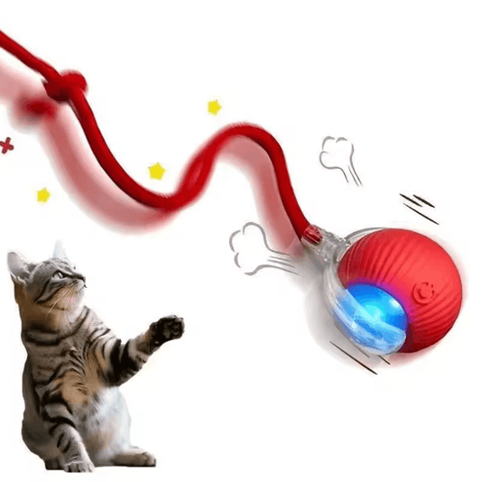 Interactive Cat Ball Toy | 3-Mode Automatic Rolling with Faux Tail & Rechargeable Design