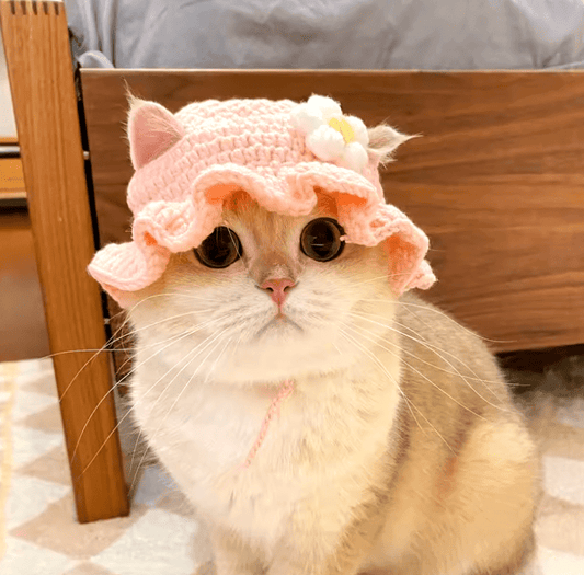 Autumn & Winter Elastic Cat Hat – Cute Knitted Pet Hat for Kittens & Puppies – Perfect for Party Photo Shoots, Props & Pet Accessories