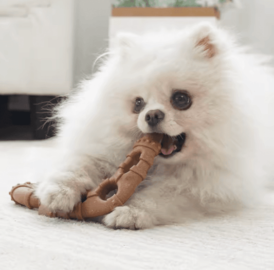 Bite-Resistant Interactive Dog Toy – Teeth Cleaning & Puppy Training Toy | Fun Dog Accessories