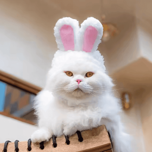Cute Bear & Rabbit Hooded Pet Hat – Soft Velvet Cosplay Headgear for Cats & Small Dogs – Winter Accessories for New Year, Photos & Daily Cuteness