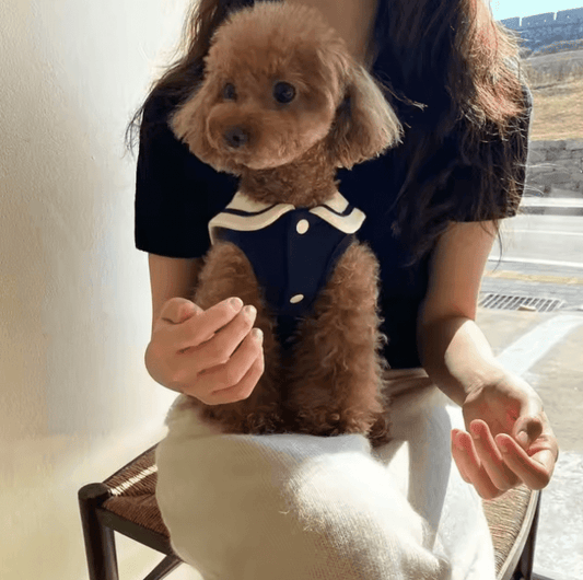 Cute Stripe Polo Shirt for Small & Medium Dogs – Comfortable Puppy Sweatshirt Vest T-Shirt – Stylish Pet Clothes for Everyday Wear