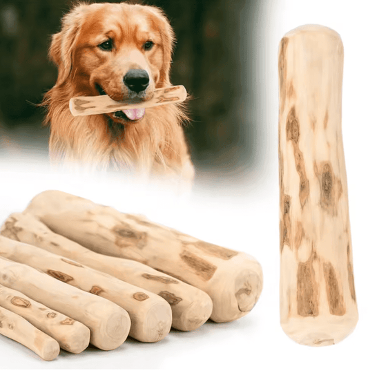Dog Teeth Grinding Rod – Natural Coffee Wood Chewable Stick for Anxiety Relief & Dental Health | Bite-Resistant Pet Toy