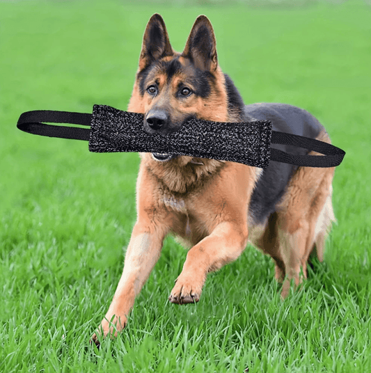 Dog Tug of War Toy – Durable Outdoor Chew Pillow for Puppy Training & Interactive Play – Soft Yet Strong – Ideal for Tugging Games, Bite Training & Bonding – 1pc