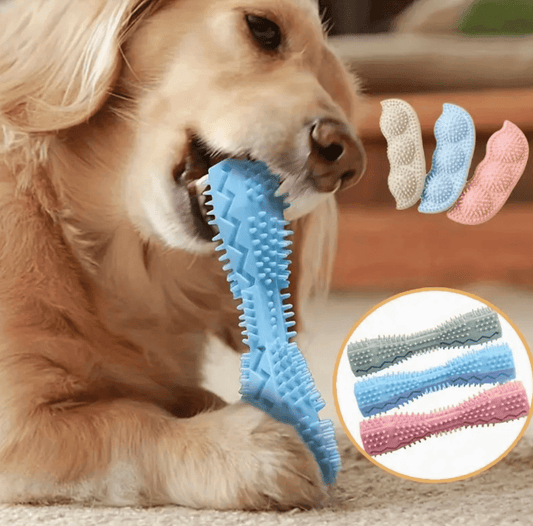 Durable Dog Chew Toy Stick – Soft Rubber Toothbrush for Tooth Cleaning & Massage