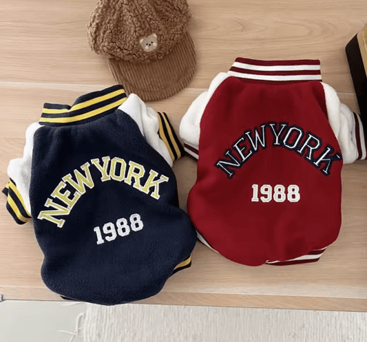 Fashion Winter Pet Baseball Jacket – Stylish Contrasting Coat for Small Dogs & Puppies – Teddy Bear Design, Warm and Cozy Dog Clothes Suit