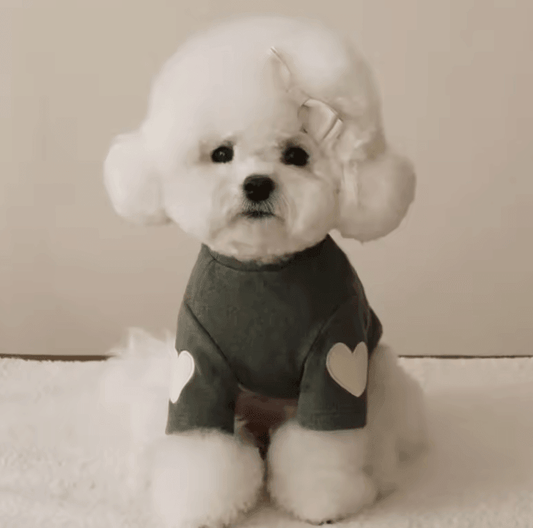 Love Winter Warm Pet Dog Hoodie – Cute Love Bear Teddy Design for Small Dogs & Cats – Cozy Base Shirt for Yorkshire, Puppies & Pets