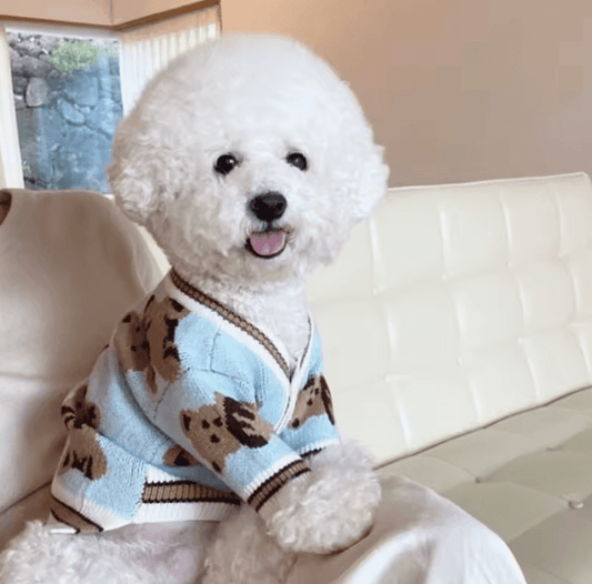 Luxury Striped Dog Cardigan – Warm Knitted Sweater for Small Dogs & Puppies – Winter Coat for Chihuahua, Cats & Pets – Cozy & Stylish Pet Clothes