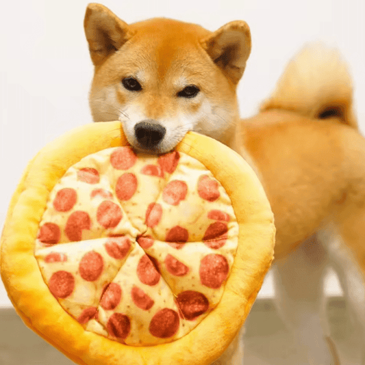 Plush Squeaky Dog Toy – Donut & Pizza Shape Chew Toys for Small, Medium & Large Dogs – Soft, Funny Pet Toy for Teeth Cleaning & Interactive Play