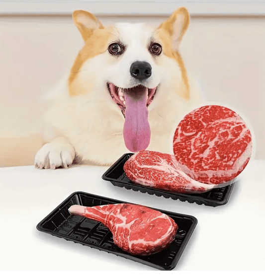 Simulated Steak Chew Toy – Bite-Resistant & Squeaky Dog and Cat Toy | Durable Pet Play Product