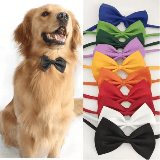 Stylish Adjustable Pet Bowtie Collar – Cute & Elegant Neck Accessory for Dogs & Cats – Perfect for Parties, Photos & Everyday Style