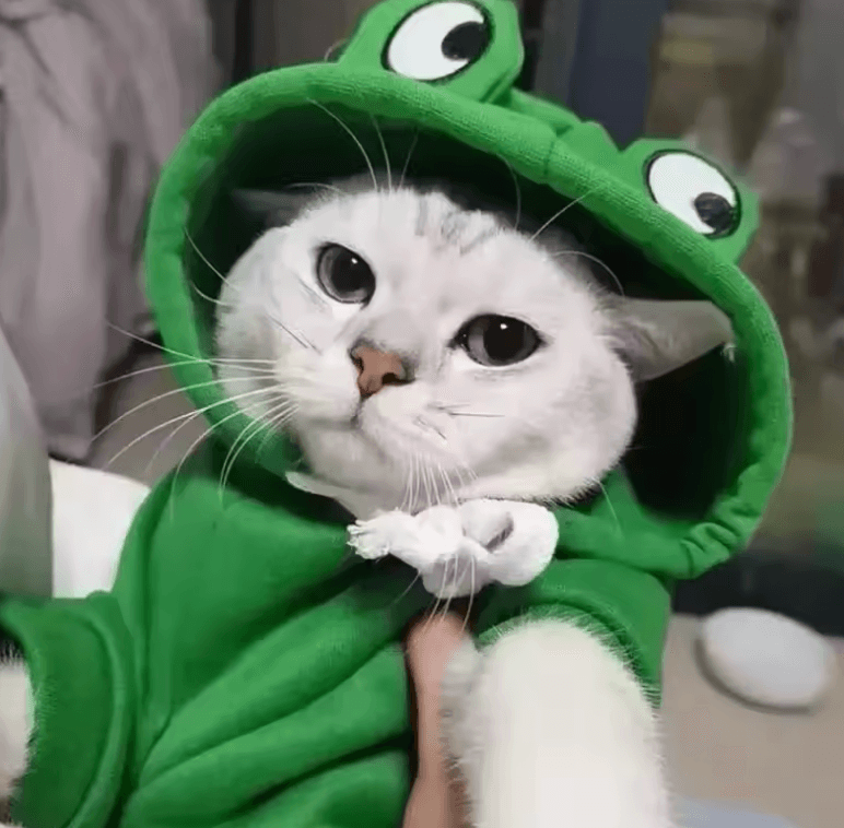 Autumn Winter Cat & Dog Hoodies - Cute Frog-Shaped Fleece for Small Pets