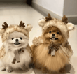 Christmas Pet Apparel - Elk Cloak & Hat for Dogs and Cats
