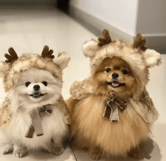 Christmas Pet Apparel - Elk Cloak & Hat for Dogs and Cats