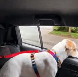 Two-in-One Pet Car Seat Belt & Leash - Adjustable Nylon Harness for Dogs & Cats