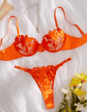 Women’s 2-Piece Sheer Embroidered Lingerie Set – Sexy Floral Tulle Bra & Panty – See-Through Exotic Intimate Underwear 2025