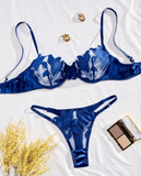 Women’s 2-Piece Sheer Embroidered Lingerie Set – Sexy Floral Tulle Bra & Panty – See-Through Exotic Intimate Underwear 2025