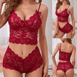 Women’s Sexy Lace Hollow Lingerie Set – Deep V Bra & Panty – Erotic See-Through Underwear for Women