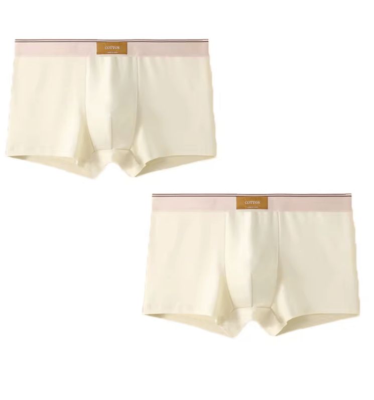 2-Pack Men’s Cotton Boxer Briefs – Breathable Underwear with U-Convex Pouch – Soft Sports-Style Boxer Shorts for Men