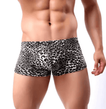 Men’s Leopard Print Trunks – U-Convex Boxer Briefs & Fitness Shorts – Stylish Underwear or Swim Shorts