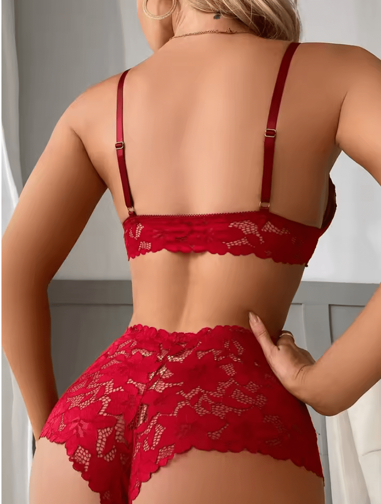 Women’s Sexy Lace Lingerie Set – Sheer Bra & Panties with Bow Detail | Delicate Fairy-Inspired Red Underwear Kit
