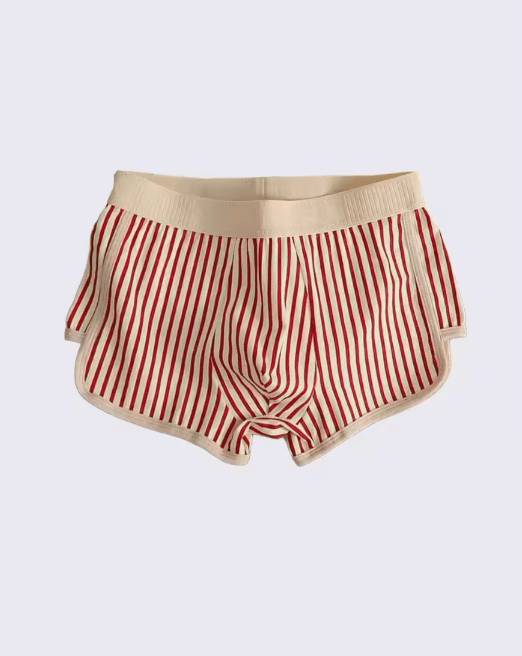 5-Pack Men’s 100% Cotton Briefs – Breathable, Plus Size Summer Underwear