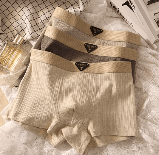 3-Pack Men’s Cotton Boxer Briefs – Breathable, Soft, Mesh Crotch & Striped Design