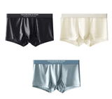 Men’s Seamless Ice Silk Boxer Briefs – Ultra-Thin, Smooth & Breathable Summer Underwear