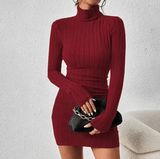Elegant Autumn Winter Turtleneck Bodycon Mini Dress – Long Sleeve Knitted Partywear for Women by VIRA Fashion