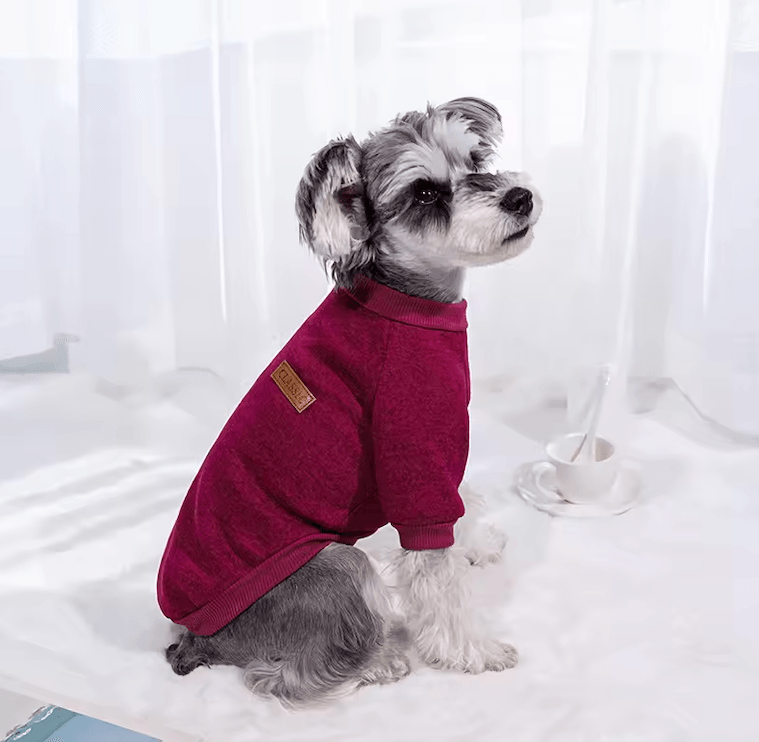 Winter Dog Clothes – Warm Coat & Sweatshirts for Small Dogs | Pet Accessories