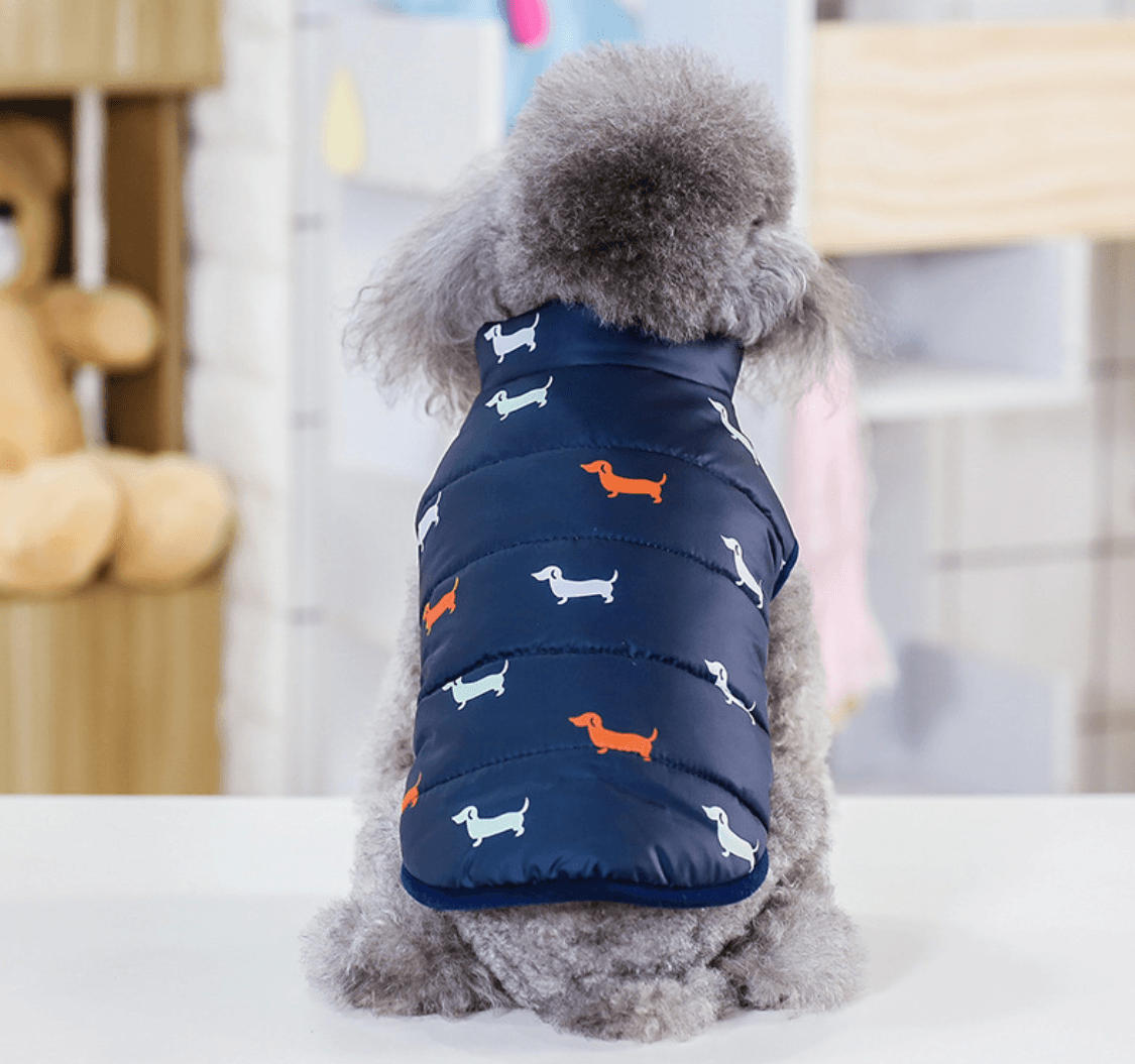 Pet Supplies - Stylish & Comfortable Dog Clothes for Every Season