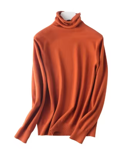 Autumn/Winter Turtleneck Slim Fit Women's Sweater – 2025 Korean Fashion Knit Pullover