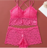 Women's Lace Non-Wire Bra & Panties Set – Ultra-Thin Transparent Lingerie
