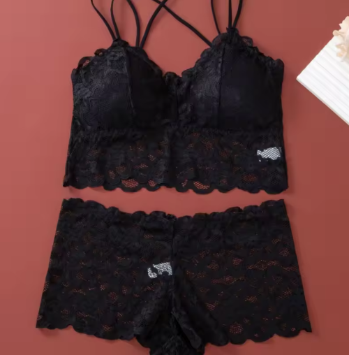 Women's Lace Non-Wire Bra & Panties Set – Ultra-Thin Transparent Lingerie