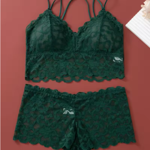 Women's Lace Non-Wire Bra & Panties Set – Ultra-Thin Transparent Lingerie