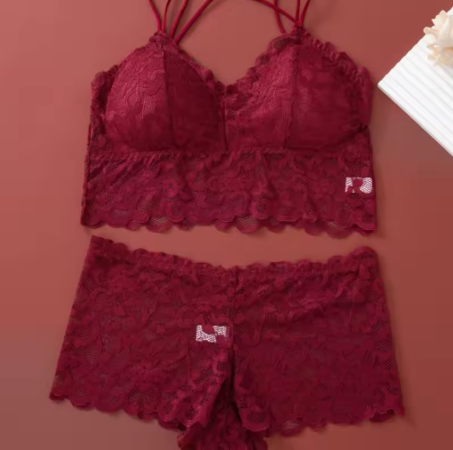 Women's Lace Non-Wire Bra & Panties Set – Ultra-Thin Transparent Lingerie