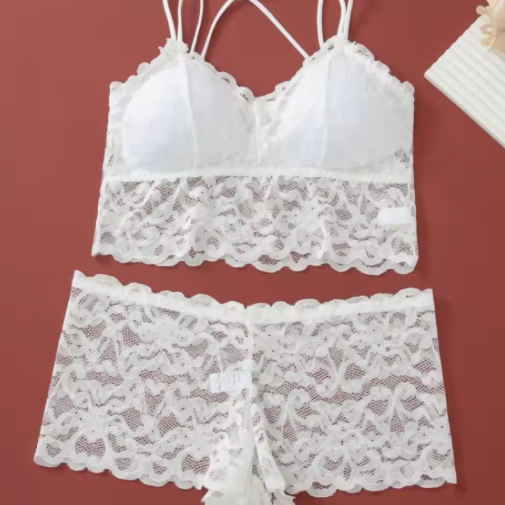 Women's Lace Non-Wire Bra & Panties Set – Ultra-Thin Transparent Lingerie