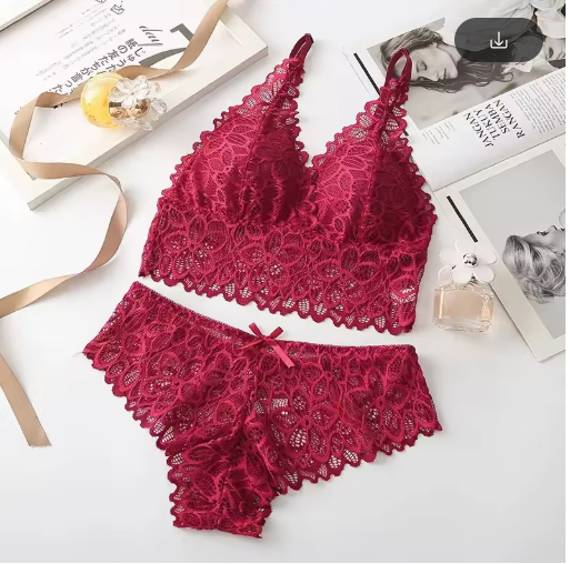 Women's Sexy Lace Lingerie Set – Embroidered Wire-Free Bra & Panty