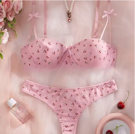 Fancy Lace Lingerie Set for Women – Transparent Push-Up Bra & Matching Panties