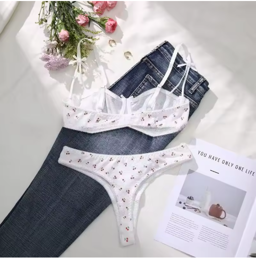 Fancy Lace Lingerie Set for Women – Transparent Push-Up Bra & Matching Panties
