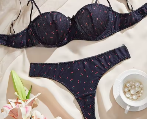 Fancy Lace Lingerie Set for Women – Transparent Push-Up Bra & Matching Panties